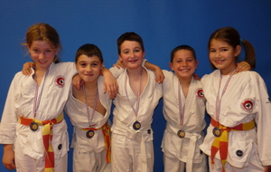 JUDO: TOURNOI DES PETITS AS 2013