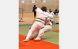 FLO (o uchu gari)
