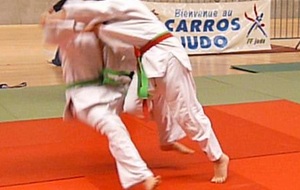 FLO (o uchi gari)