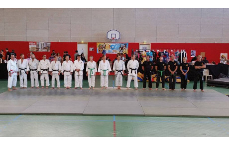 JAPAN AUREA DEMONSTRATION