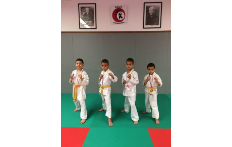 KARATE : CHAMPIONNAT DE LIGUE POUSSINS 