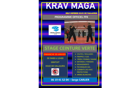 Dimanche 30 janvier 2022 Stage Krav Maga - Ceinture verte